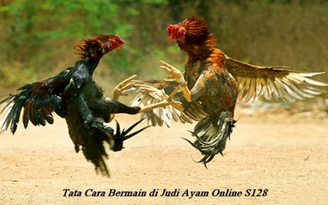 Tata Cara Bermain di Judi Ayam Online S128